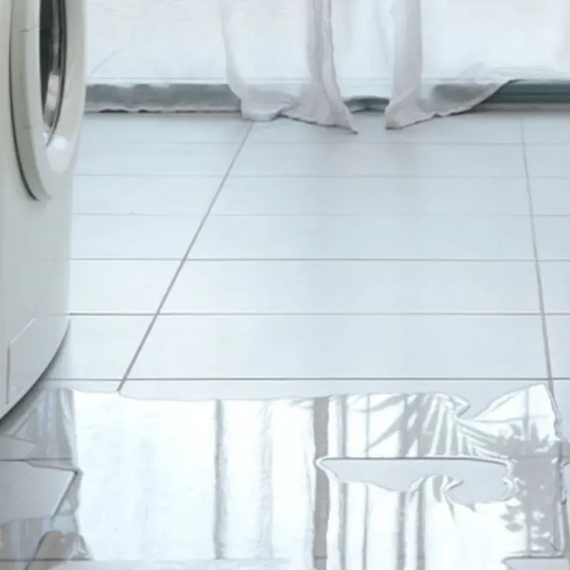 Appliance Leak Cleanup in Ashland, MS