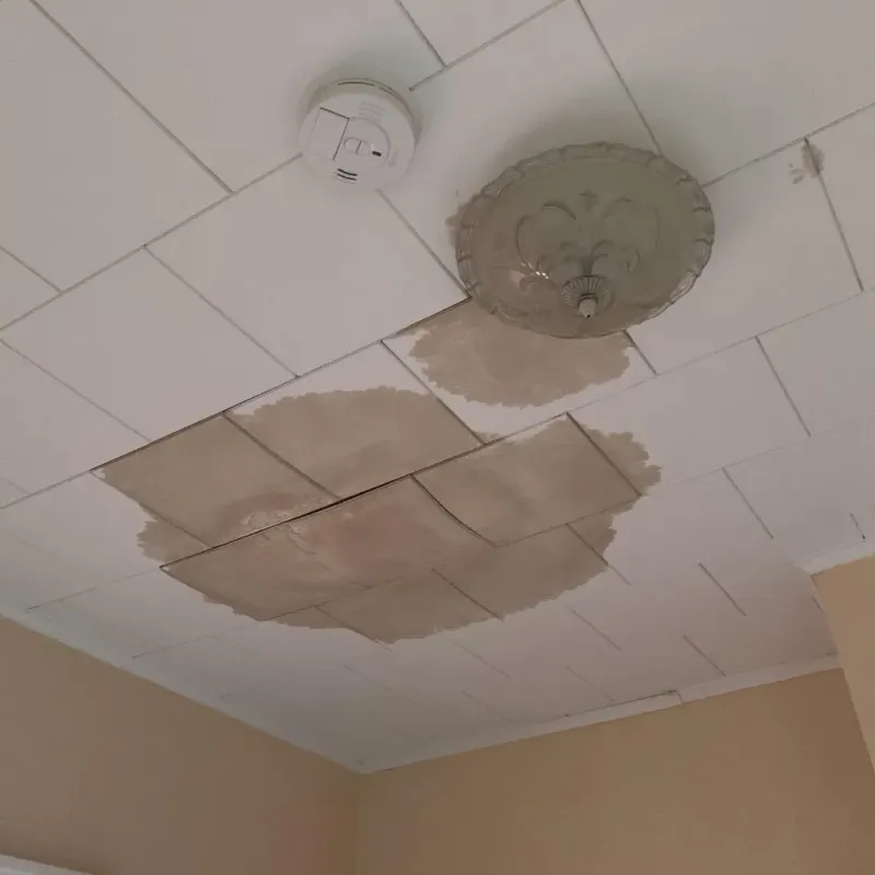 Ceiling Water Damage Repair in Ashland, MS