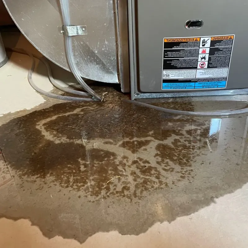 Pipe Burst and Leak Restoration in Ashland, MS