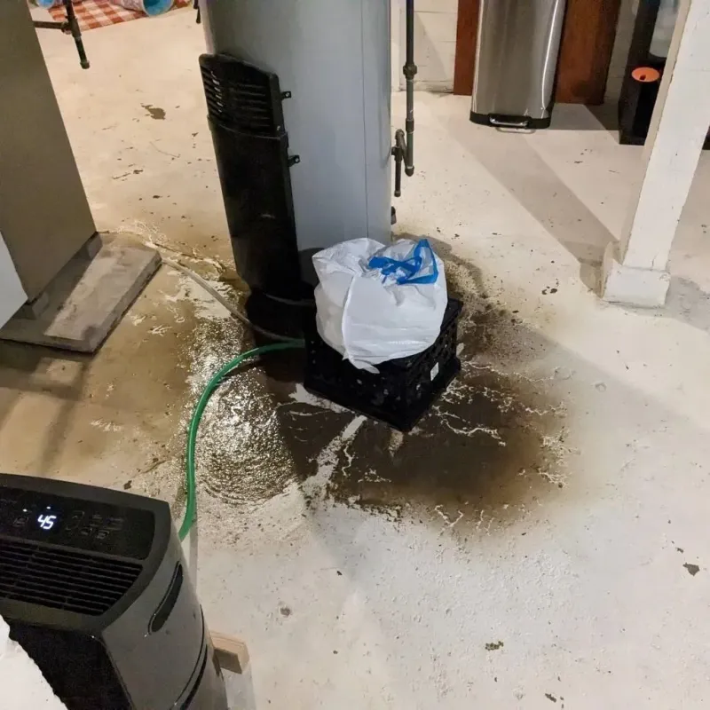 Sewage Backup Cleanup Service in Ashland, MS